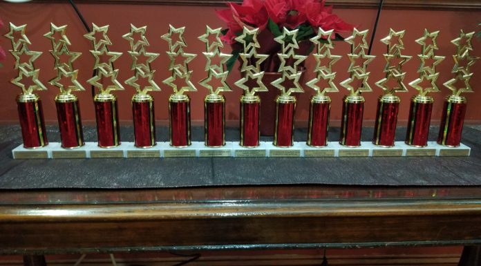 2019 DC Statehood Champion Honorees